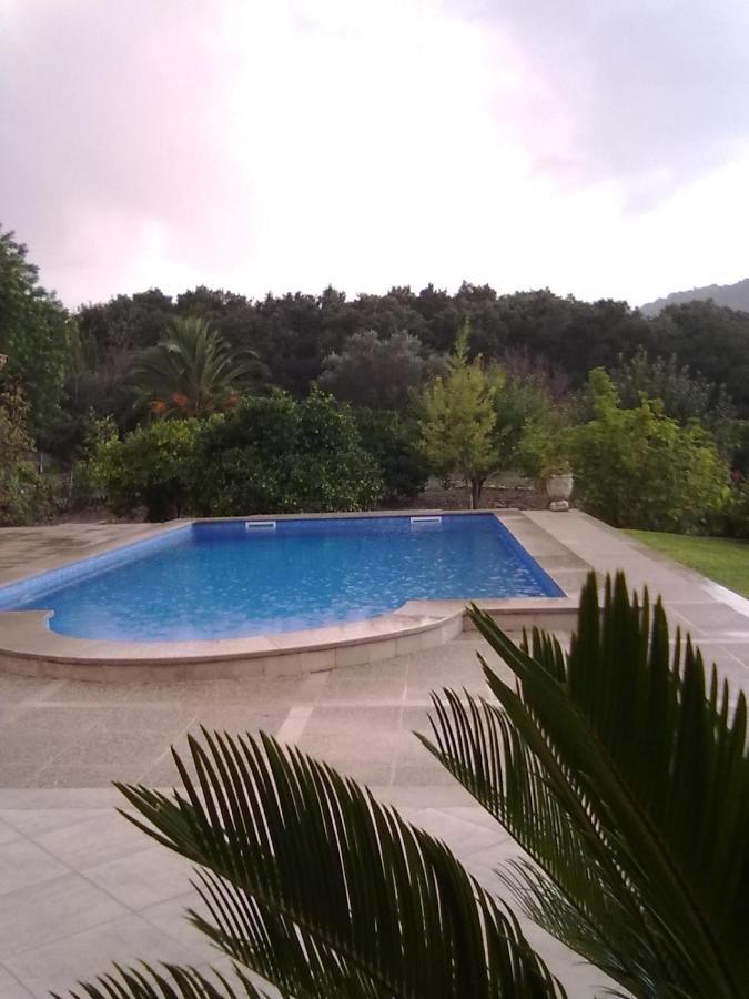 Villa Milagro - 3 Bedroom Finca Style Villa With Pool Near Golf Course/Beaches - Air Cond. Pollenca Exterior photo